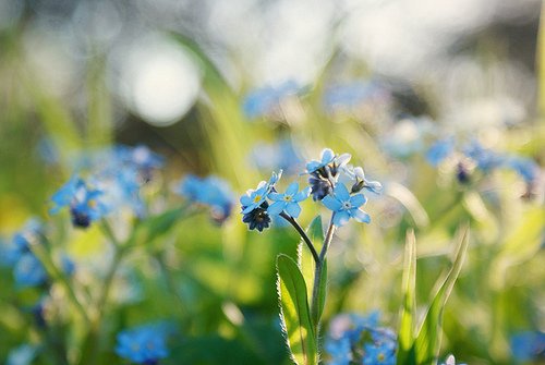 qq励志个性签名大全女生版今日最新 你别悄悄松开你的梦想